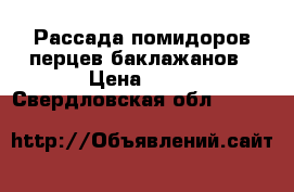 Рассада помидоров перцев баклажанов › Цена ­ 20 - Свердловская обл.  »    